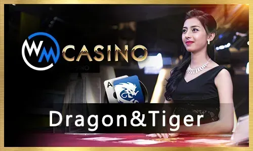 bingoplus deposit methods